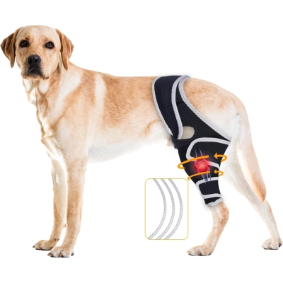 Lispoo Dog Knee Brace for Torn ACL Hind Leg 01