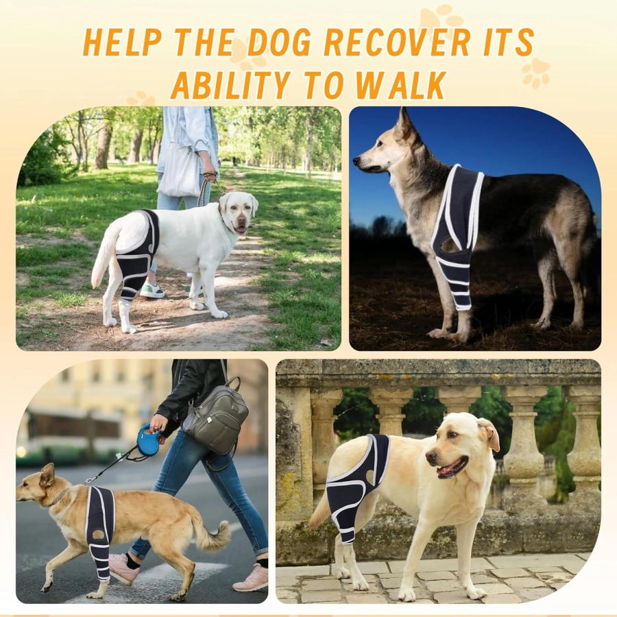 Lispoo Dog Leg Brace