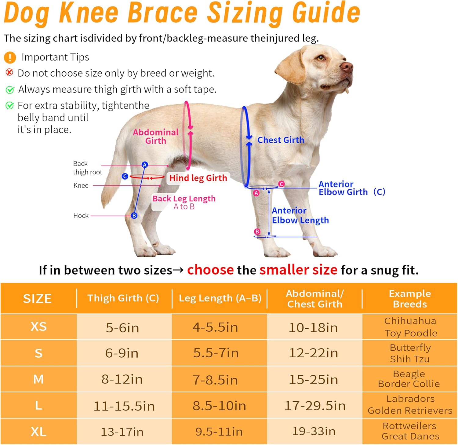 Lispoo Dog Knee Brace for Torn ACL Hind Leg