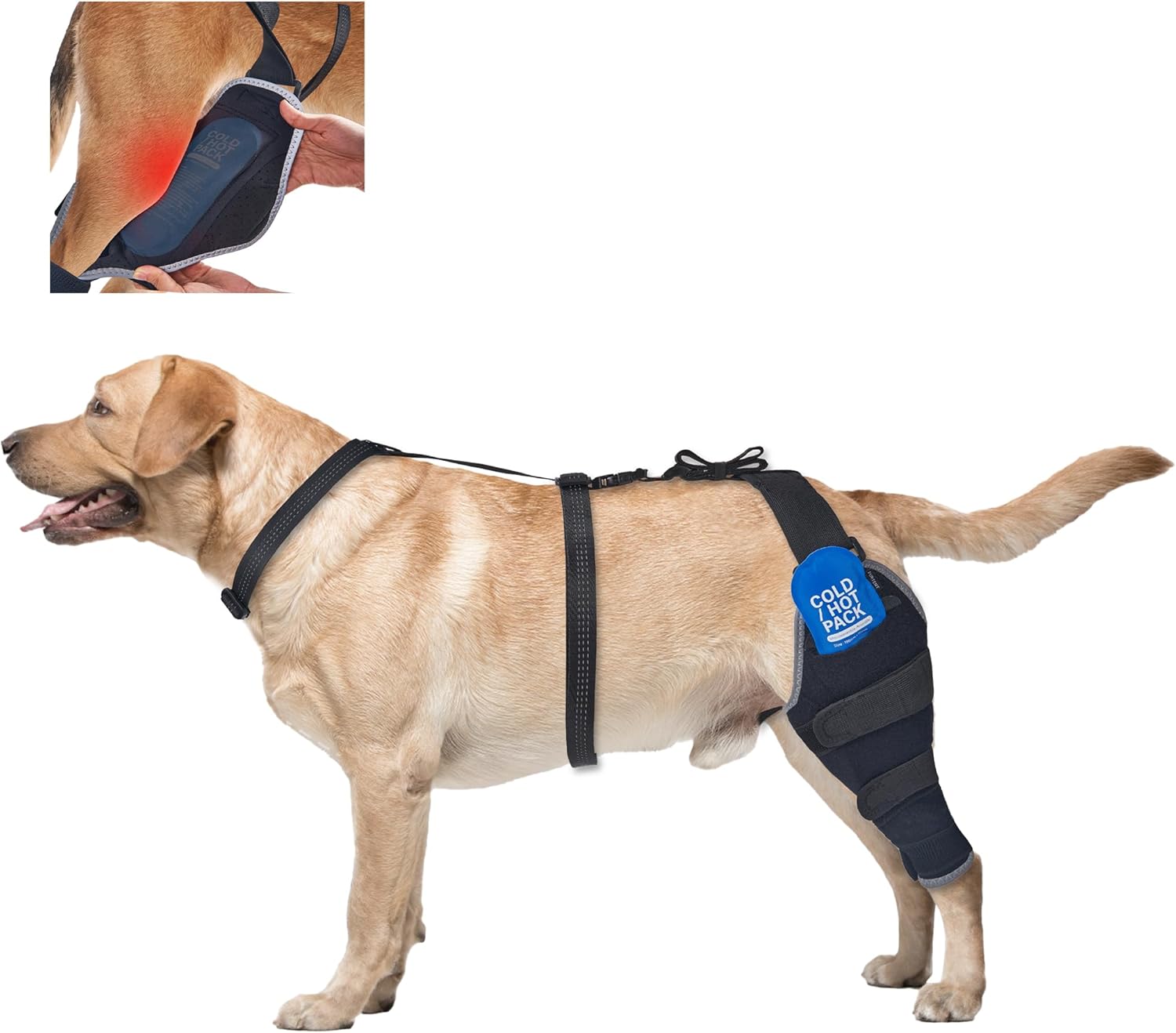 Lispoo Dog Knee Brace with Hot & Cold Gel Pack
