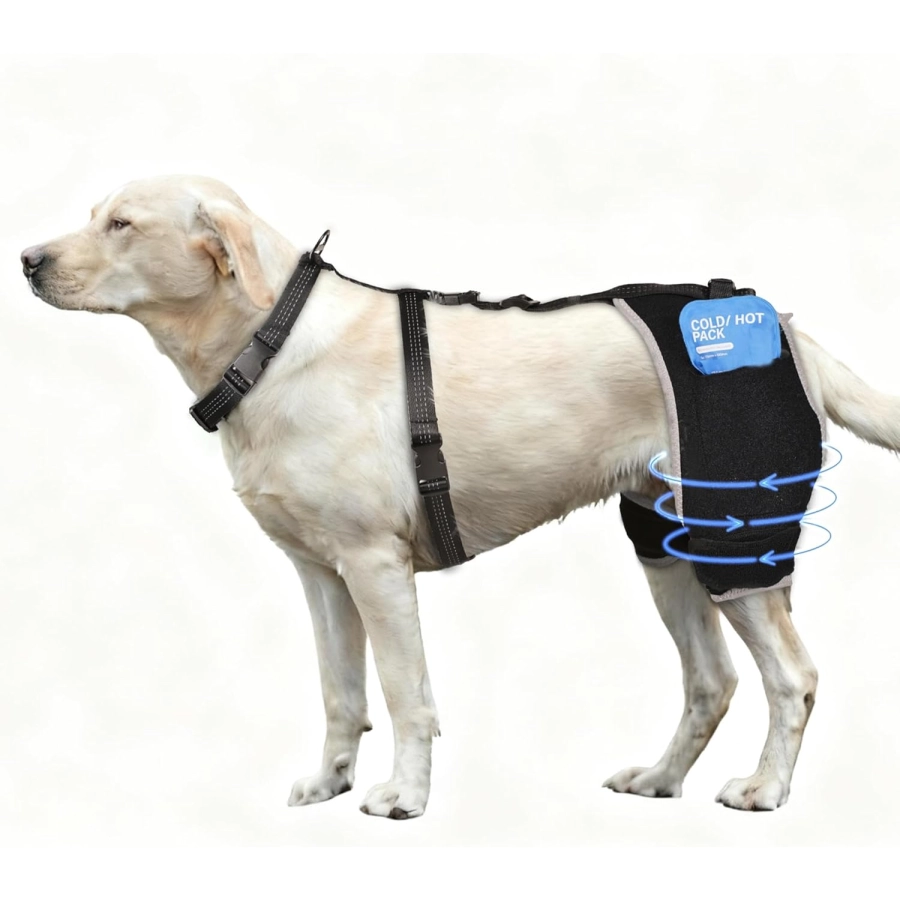 Lispoo Dog Hip Brace with Hot/Cold Gel Pack