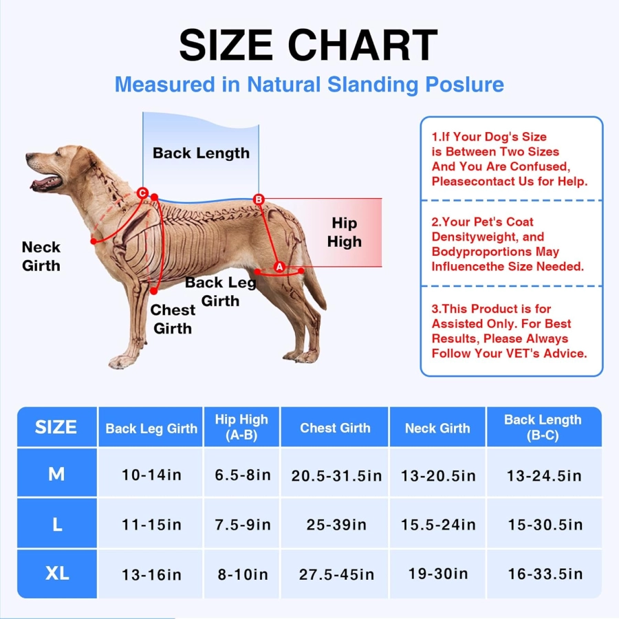 Lispoo Dog Hip Brace with Hot/Cold Gel Pack
