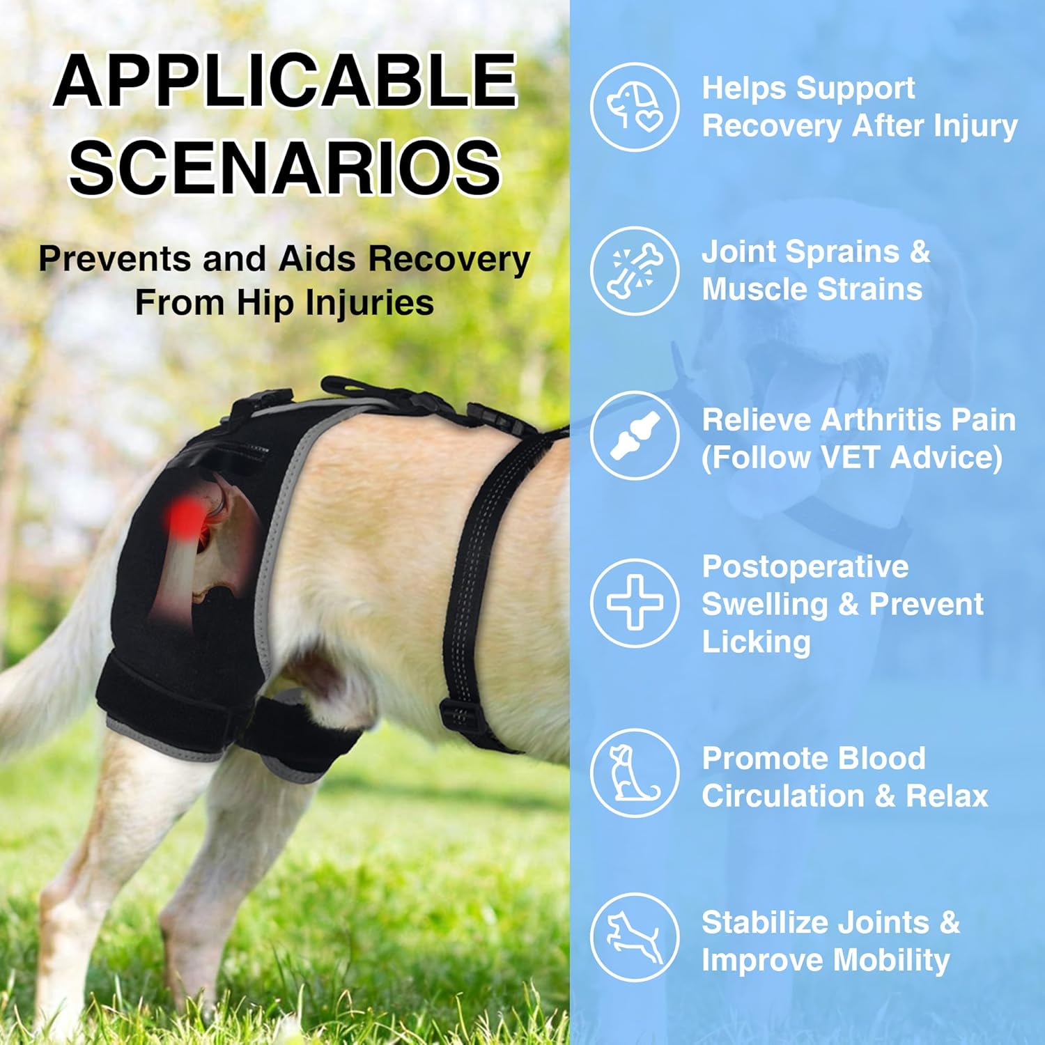 Lispoo Dog Hip Brace with Hot/Cold Gel Pack