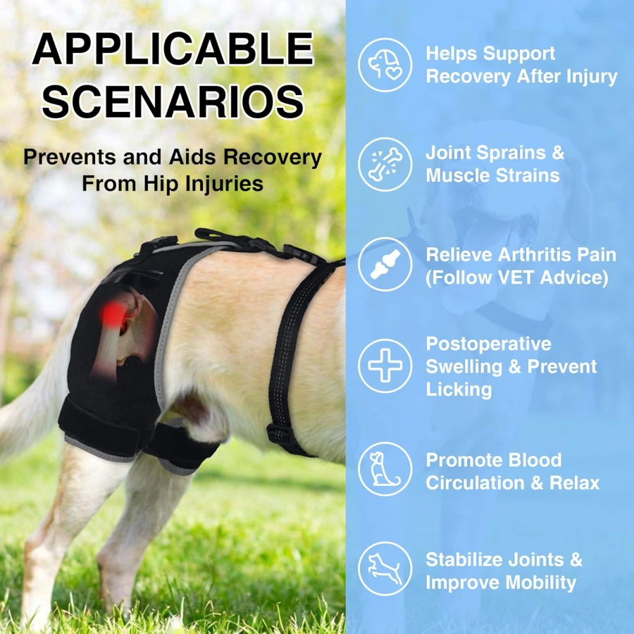 Lispoo Dog Hip Brace with Hot/Cold Gel Pack