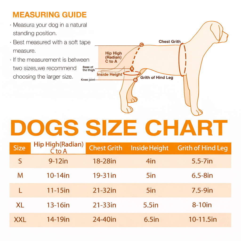 Lispoo Dog Hip Dysplasia Brace with Lift Handle