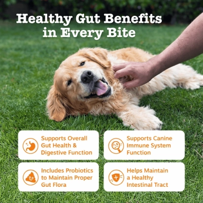 LISPOO Probiotic Chews for Dogs 02