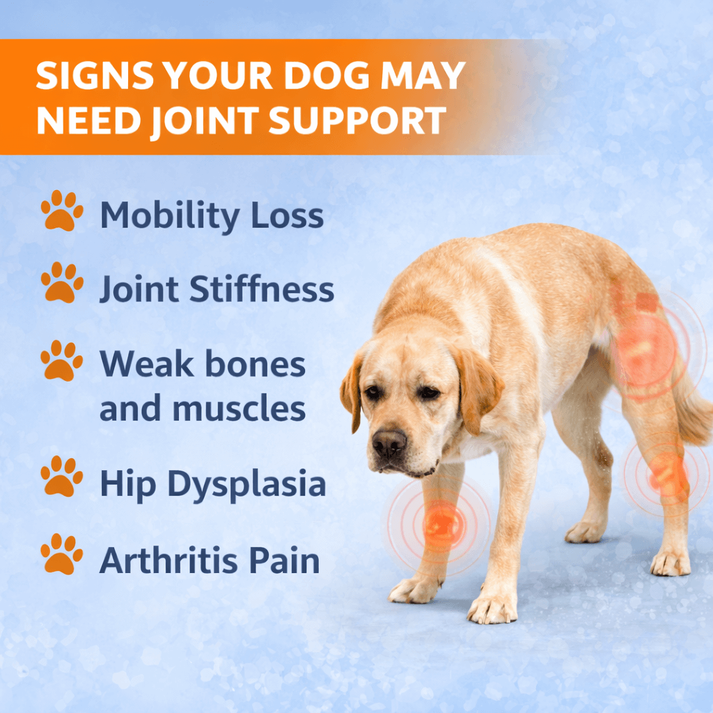 LISPOO Glucosamine Chews for Dogs