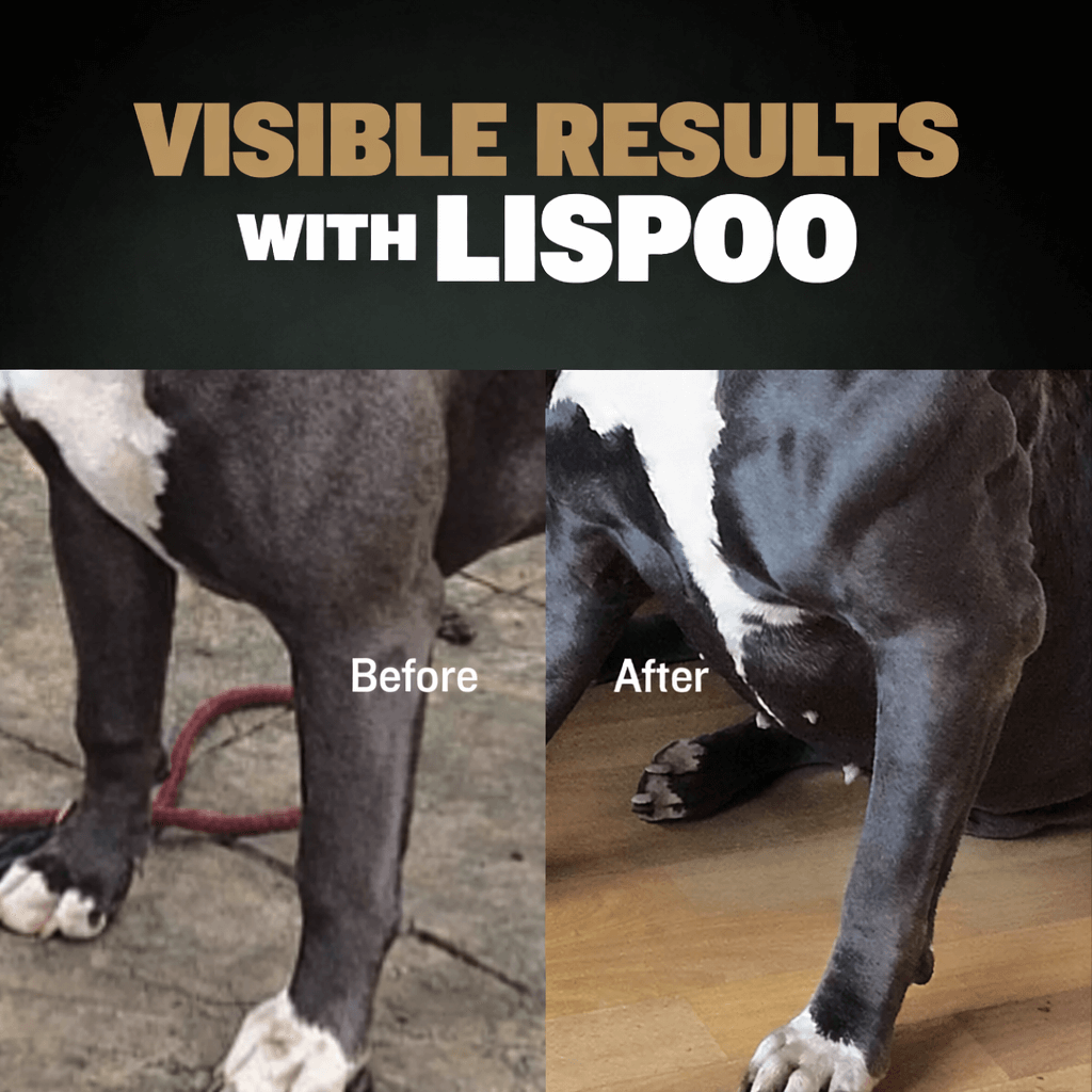 LISPOO Power Chews for Muscle Gain (11-in-1)