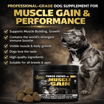 LISPOO Power Chews for Muscle Gain (11-in-1) 02