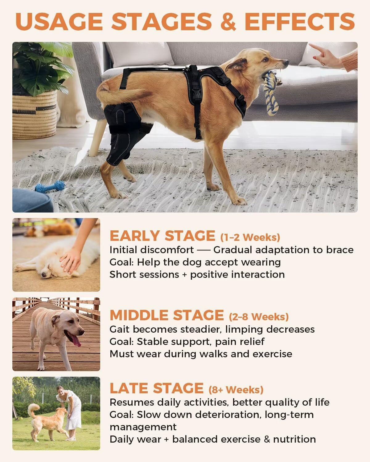 Lispoo Anti-Slip Dog Knee Brace with Hip Harness