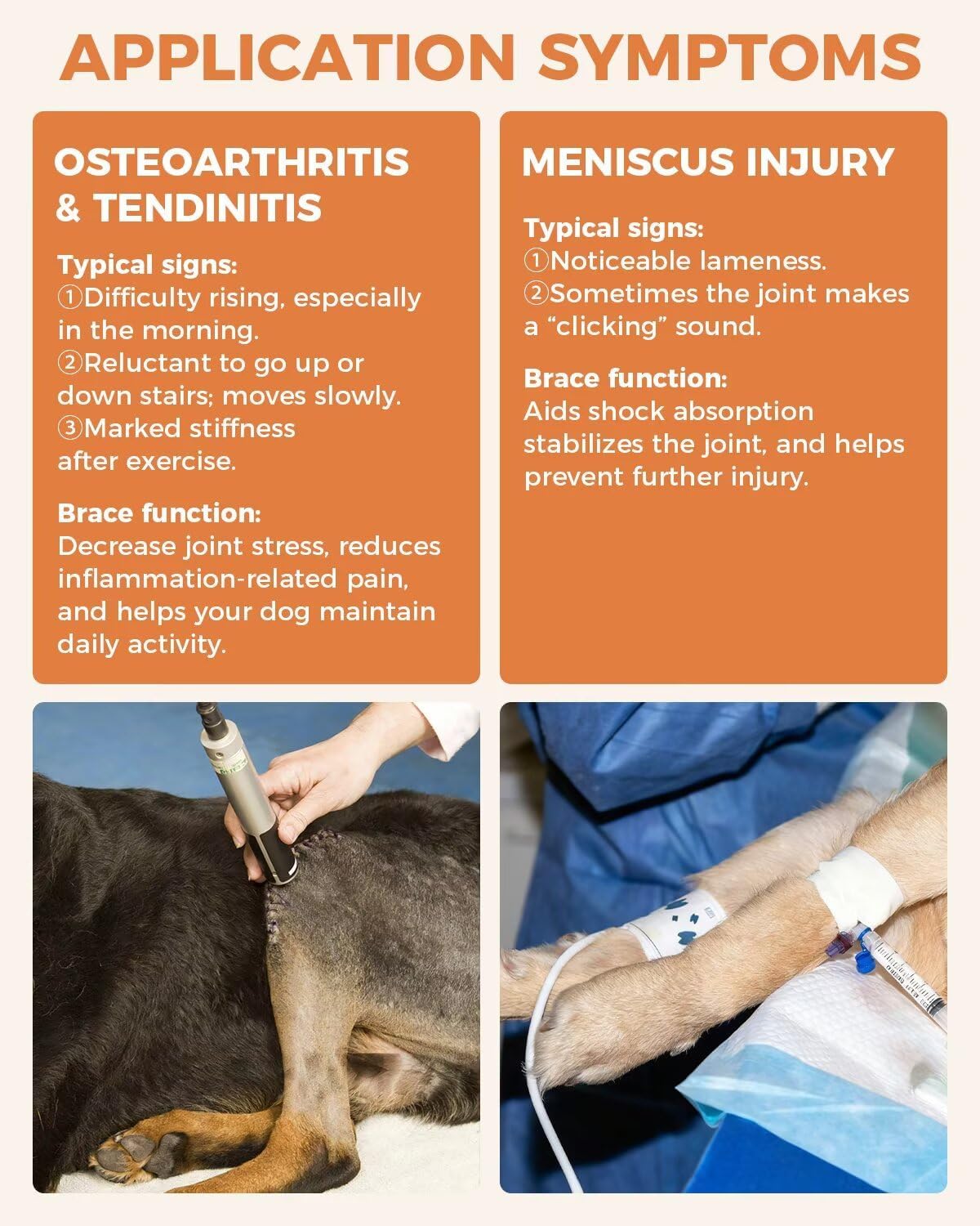 Lispoo Anti-Slip Dog Knee Brace with Hip Harness