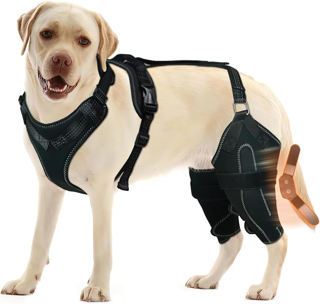 Lispoo Anti-Slip Dog Knee Brace with Hip Harness