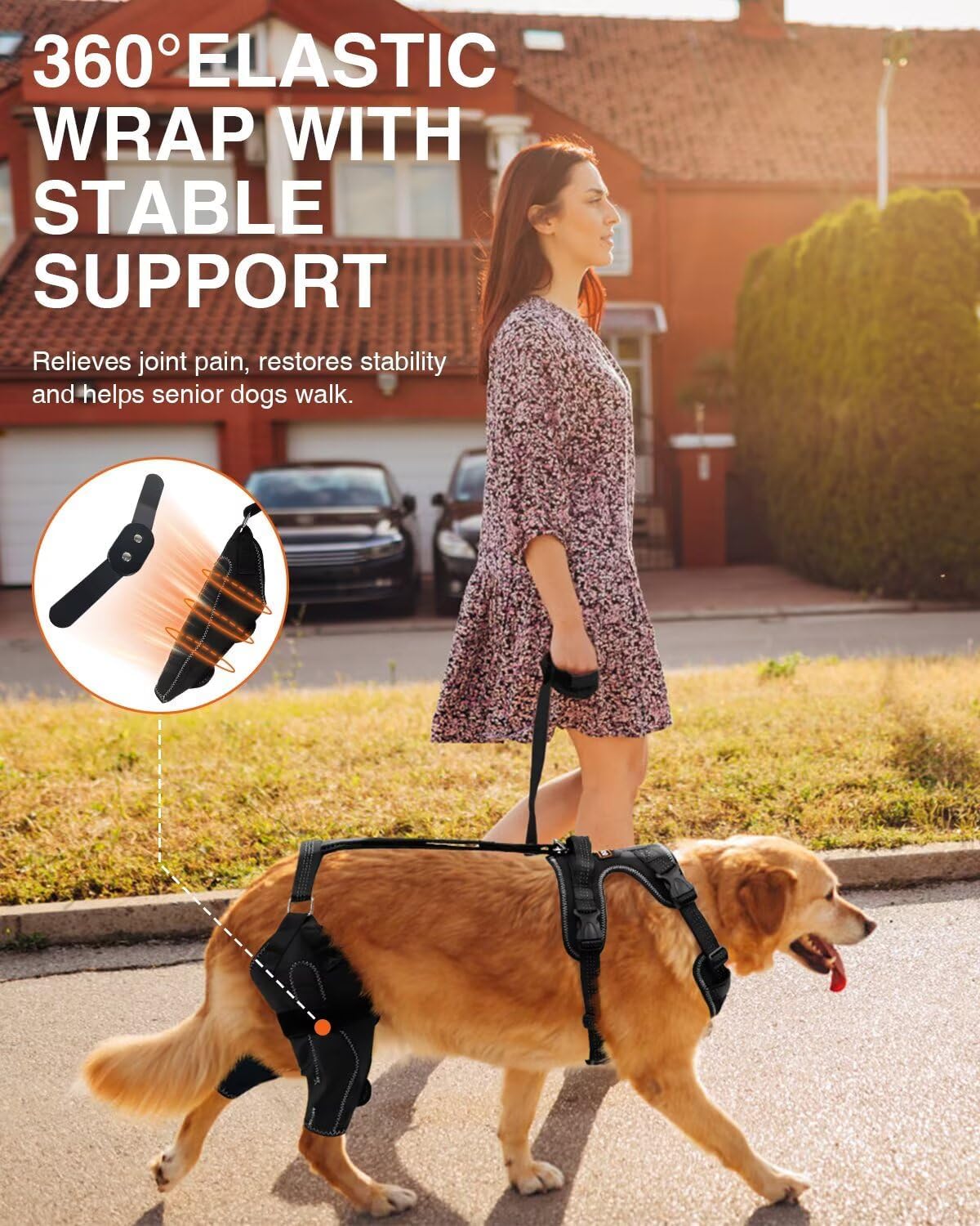 Lispoo Anti-Slip Dog Knee Brace with Hip Harness