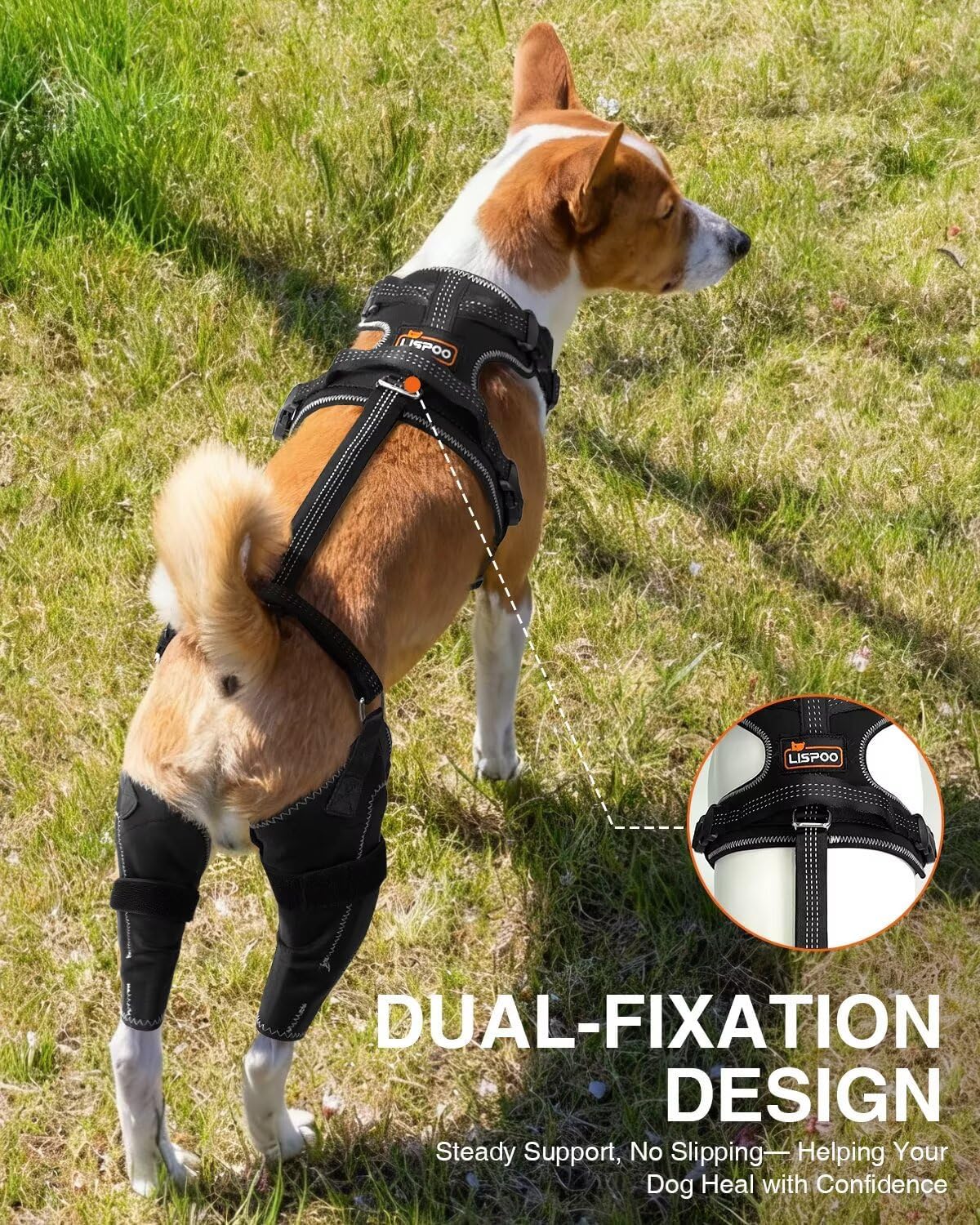 Lispoo Anti-Slip Dog Knee Brace with Hip Harness