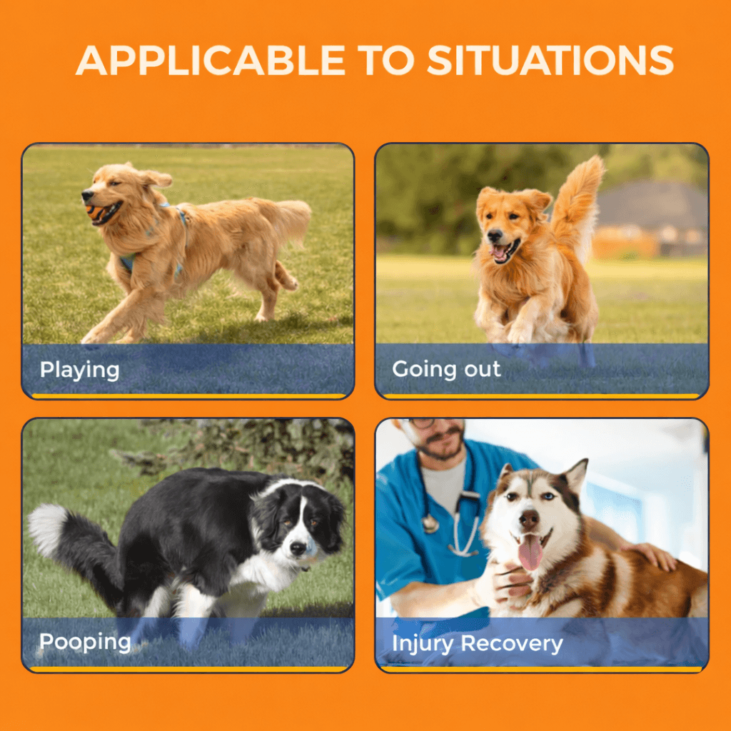 Lispoo Dog Rear Leg Support Brace with Chest Harness