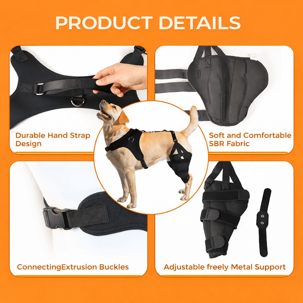 Lispoo Dog Rear Leg Support Brace with Chest Harness