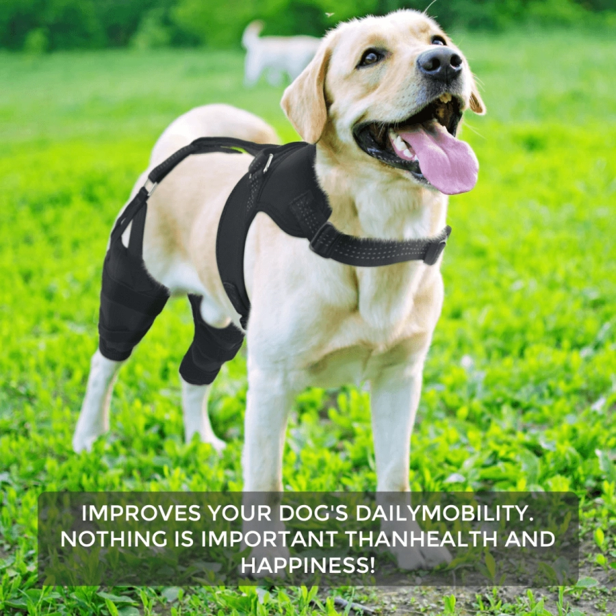 Lispoo Dog Rear Leg Support Brace with Chest Harness