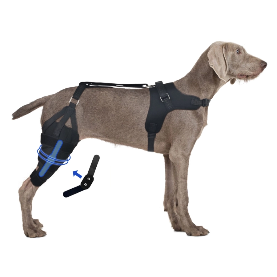 Lispoo Dog Rear Leg Support Brace with Chest Harness