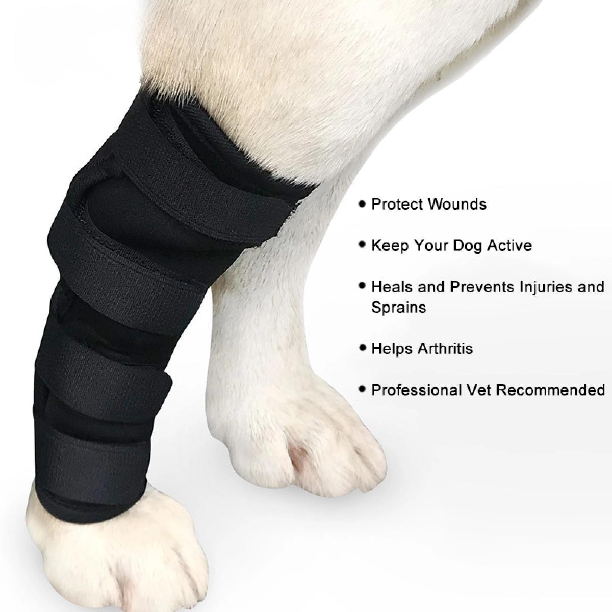 Lispoo Dog Hock Brace for Recovery