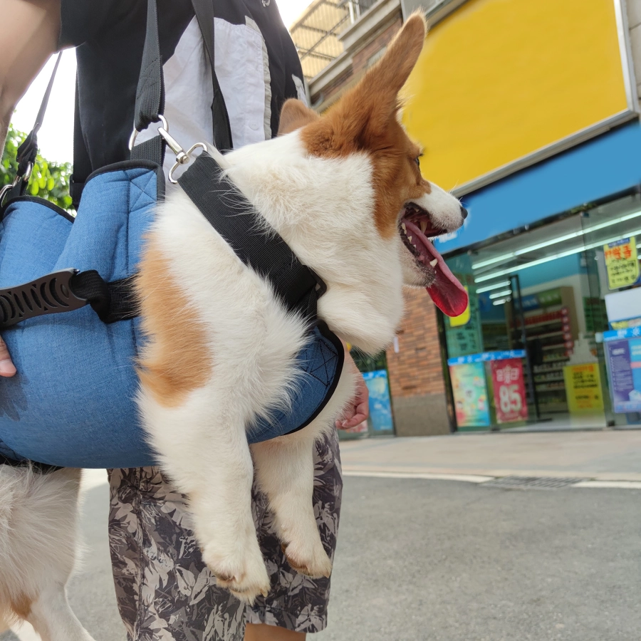 Lispoo Dog Lift Harness for Senior & Injured Dogs