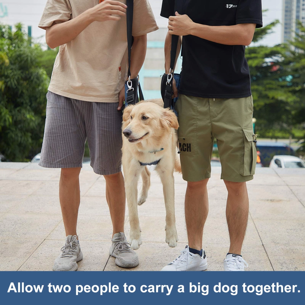 Lispoo Reliable Lifting Support for Senior, Injured Dogs