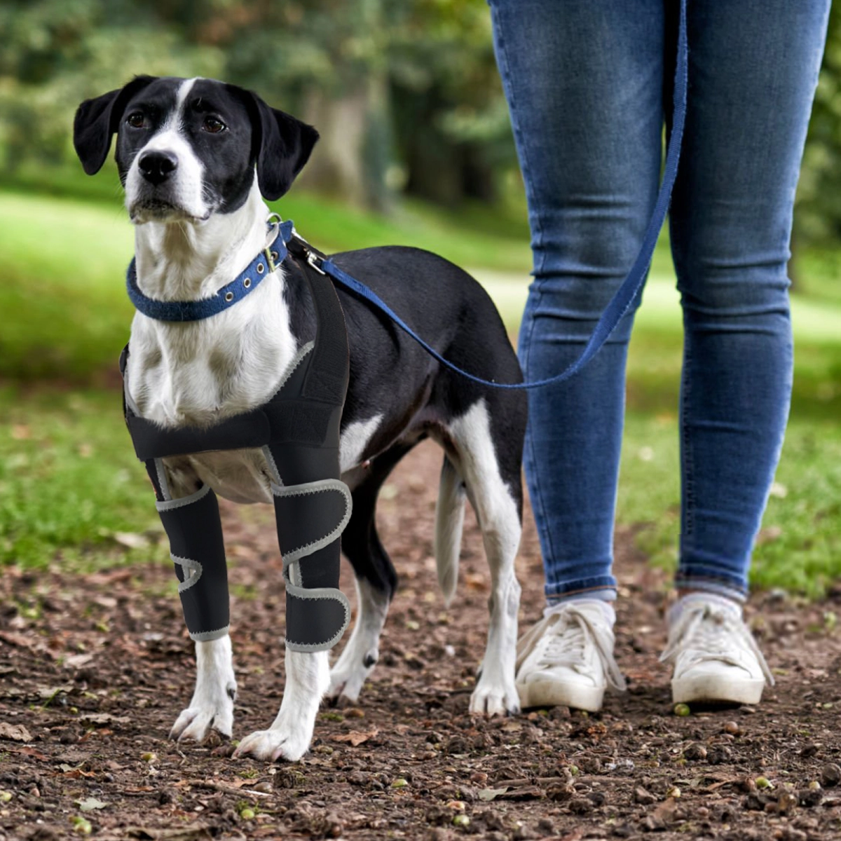 Lispoo Dog Front Elbow Brace