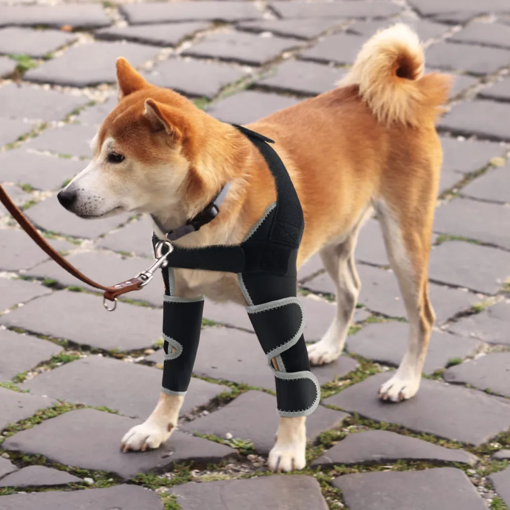 Lispoo Dog Front Elbow Brace