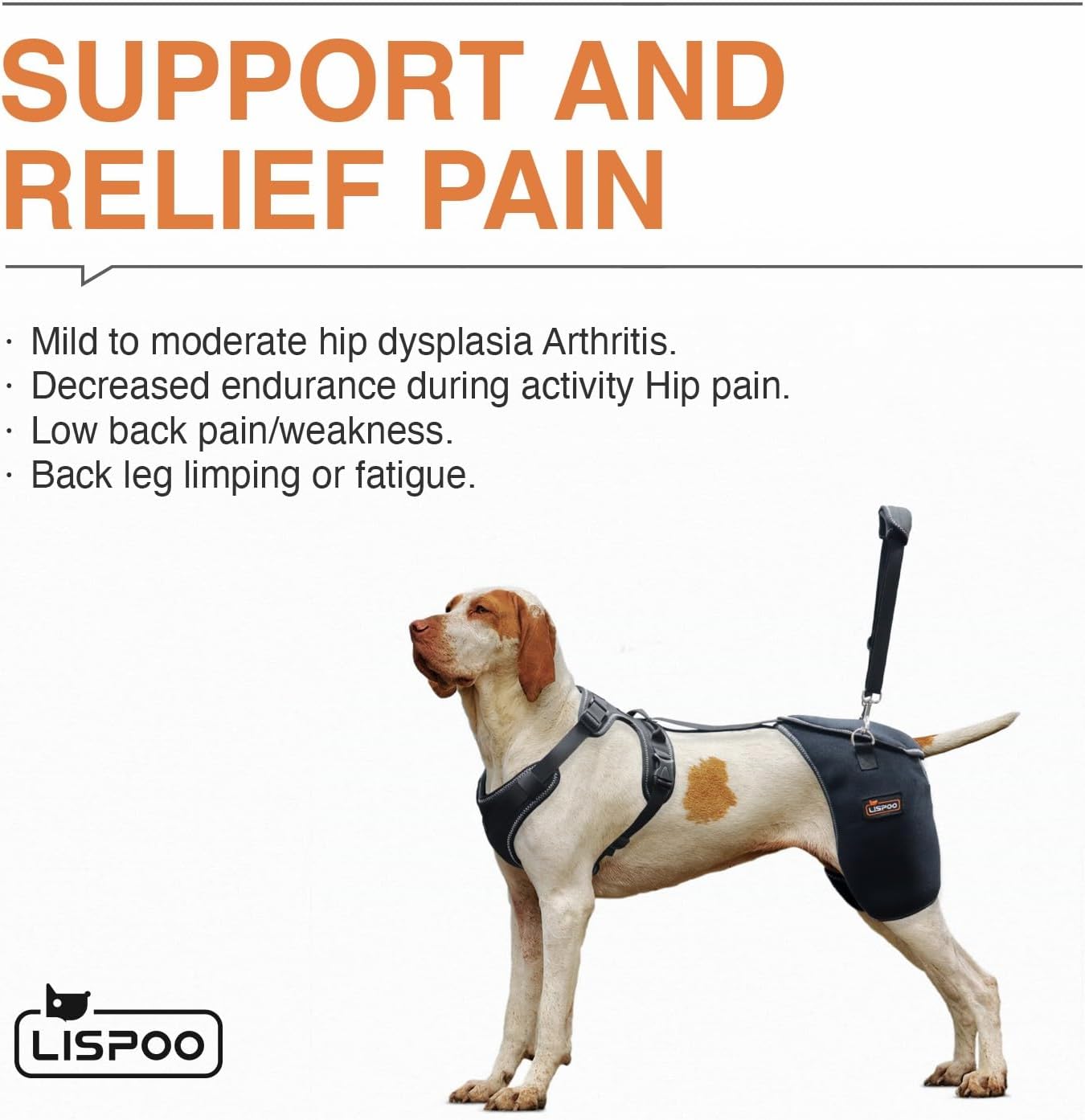 Lispoo Dog Hip & Knee Support Brace with Lift Handle