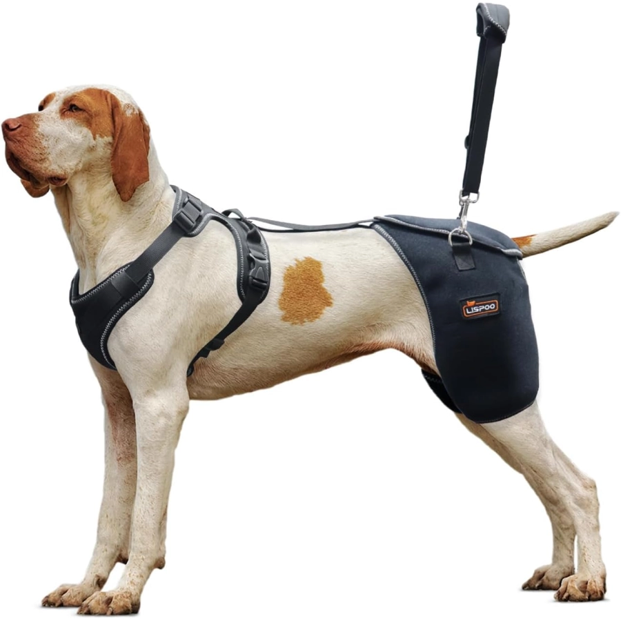 Lispoo Dog Hip Support Brace with Lift Handle