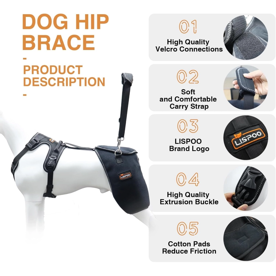 Lispoo Dog Hip Support Brace with Lift Handle