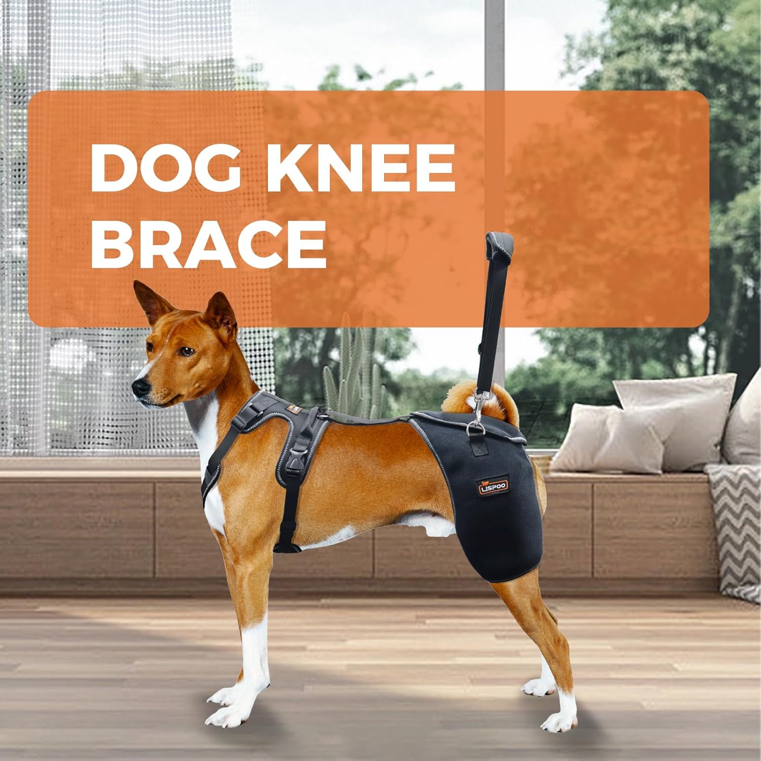 Lispoo Dog Hip & Knee Support Brace with Lift Handle