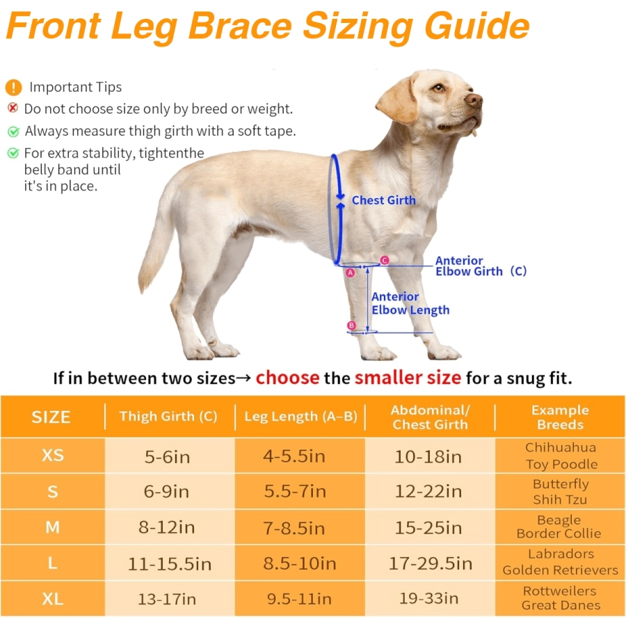 Lispoo Dog Leg Brace