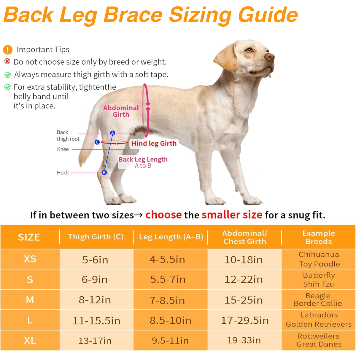 Lispoo Universal Dog Leg Brace