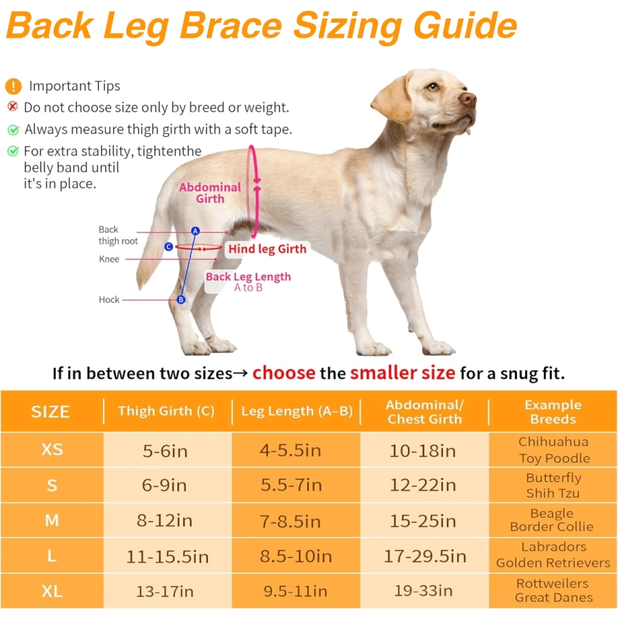 Lispoo Dog Leg Brace
