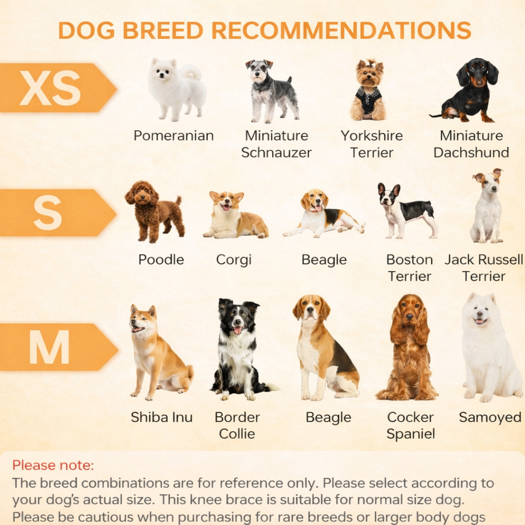 Lispoo Universal Dog Leg Brace