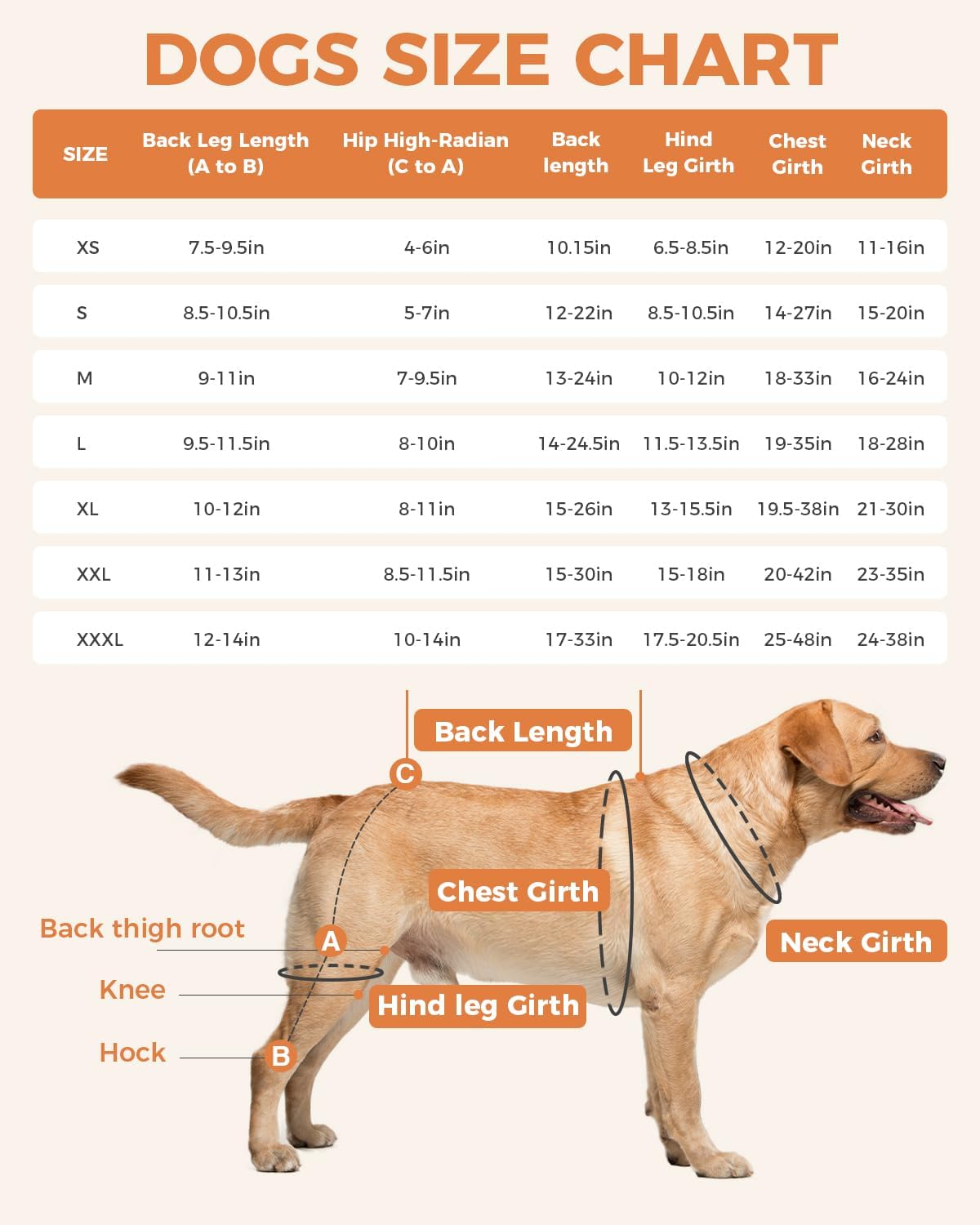 Lispoo Dog Double Knee Brace for Luxating Patella