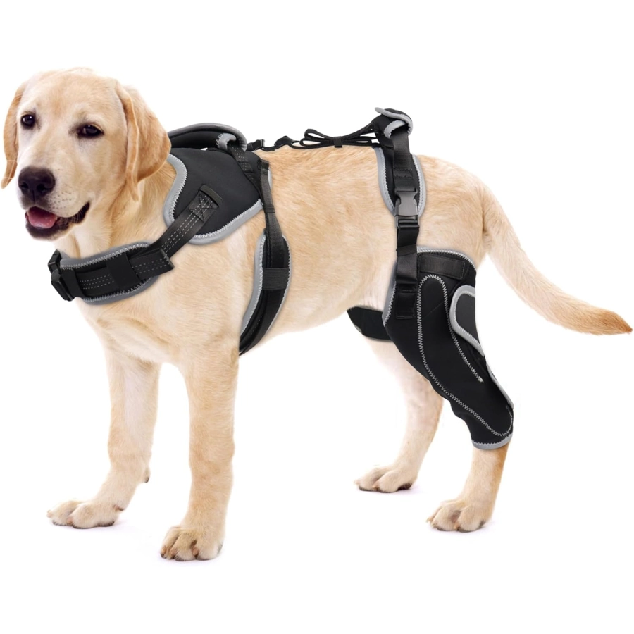 Lispoo Adjustable Dog Rear Leg Brace