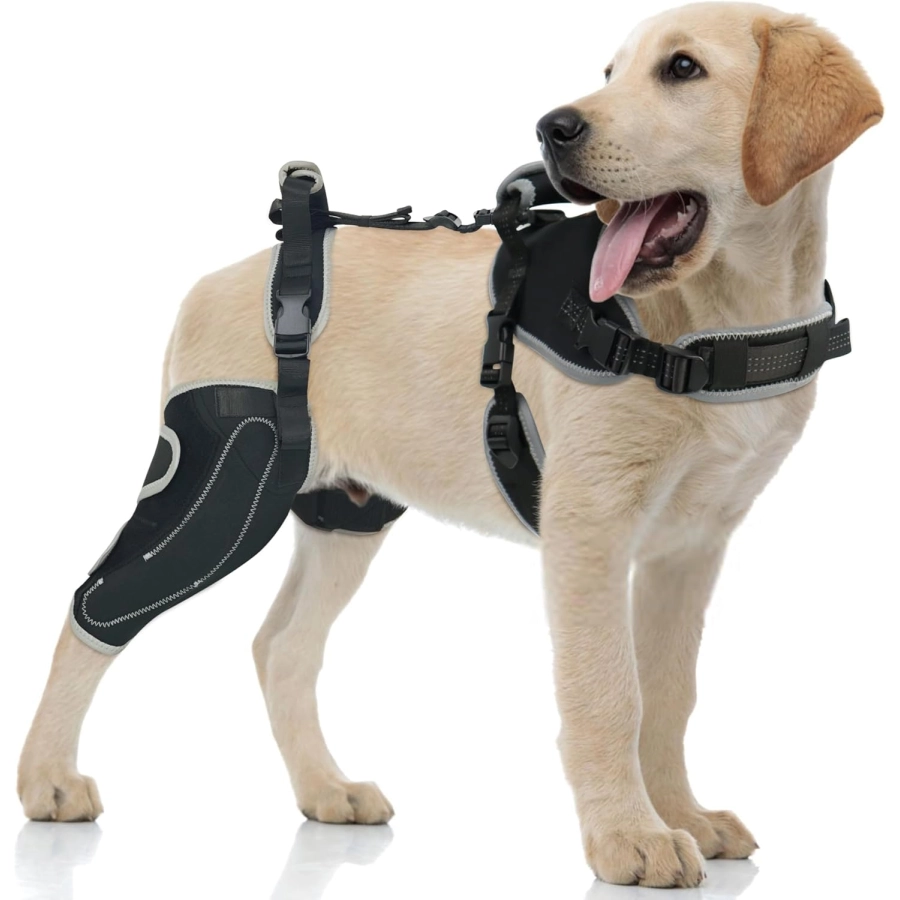 Lispoo Adjustable Dog Rear Leg Brace