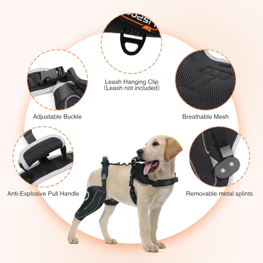 Lispoo Adjustable Dog Rear Leg Brace