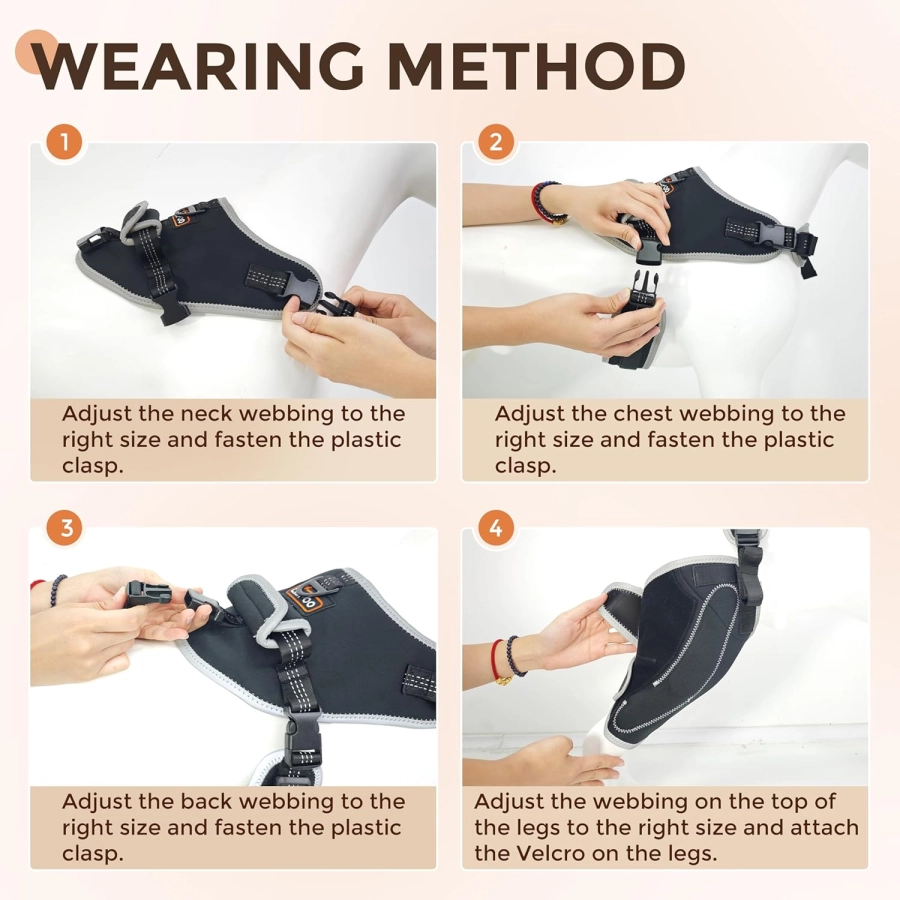 Lispoo Adjustable Dog Rear Leg Brace