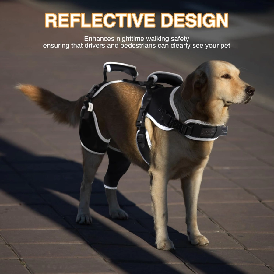 Lispoo Adjustable Dog Rear Leg Brace