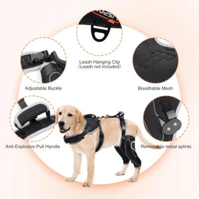 Lispoo Dog Double Knee Brace 02
