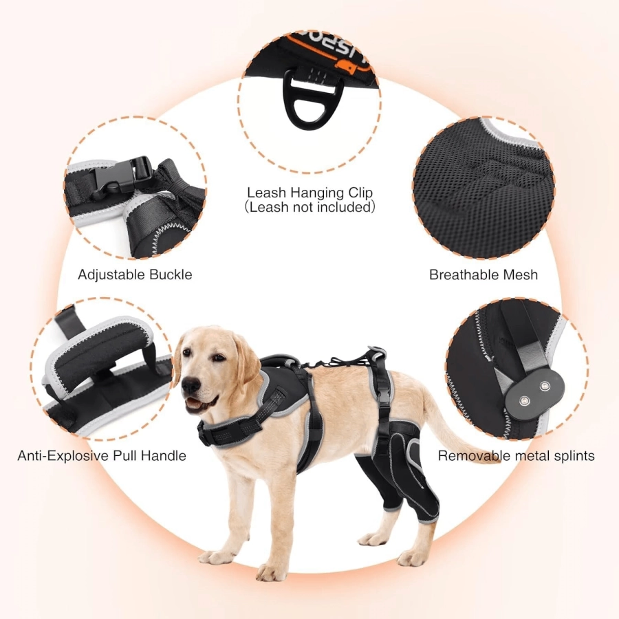 Lispoo Dog Double Knee Brace