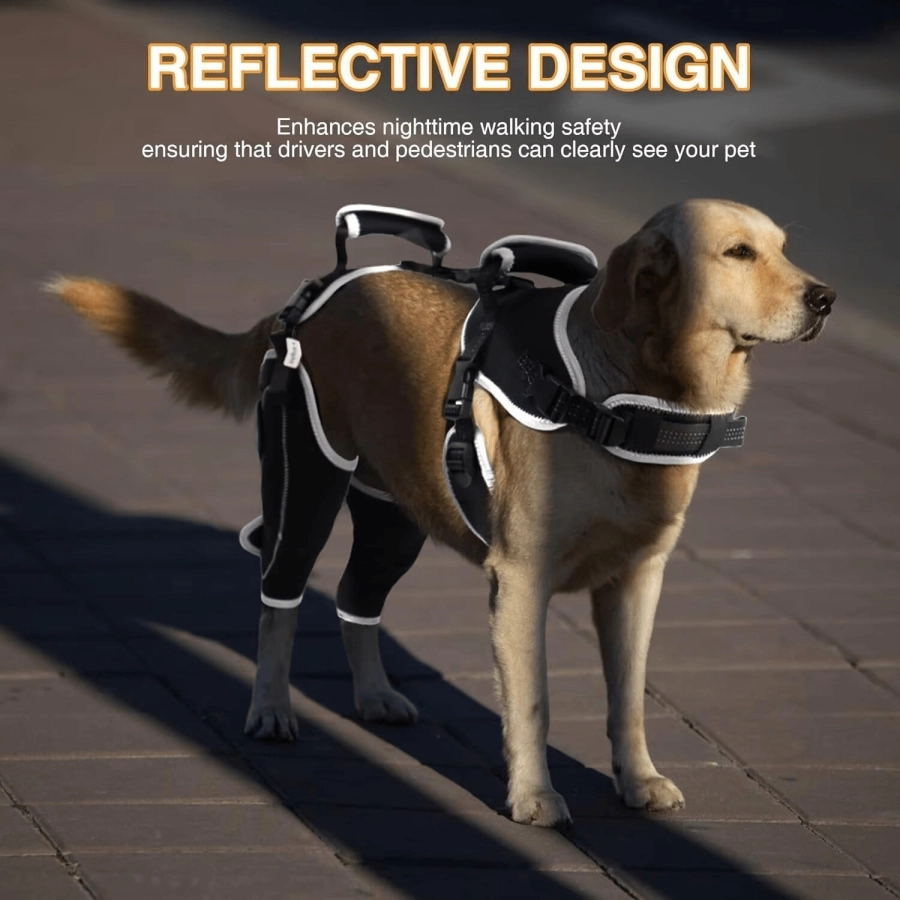 Lispoo Dog Double Knee Brace