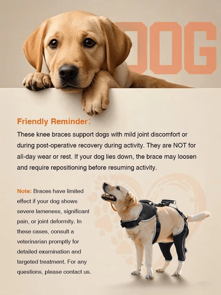 Lispoo Dog Double Knee Brace