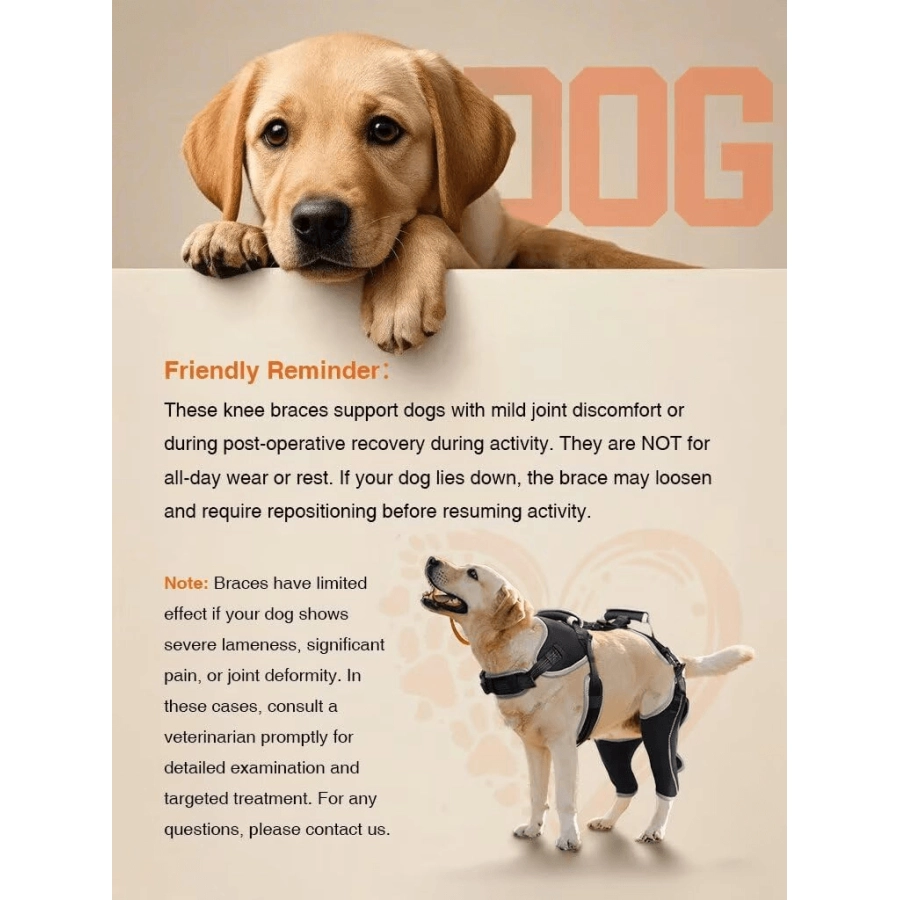 Lispoo Dog Double Knee Brace
