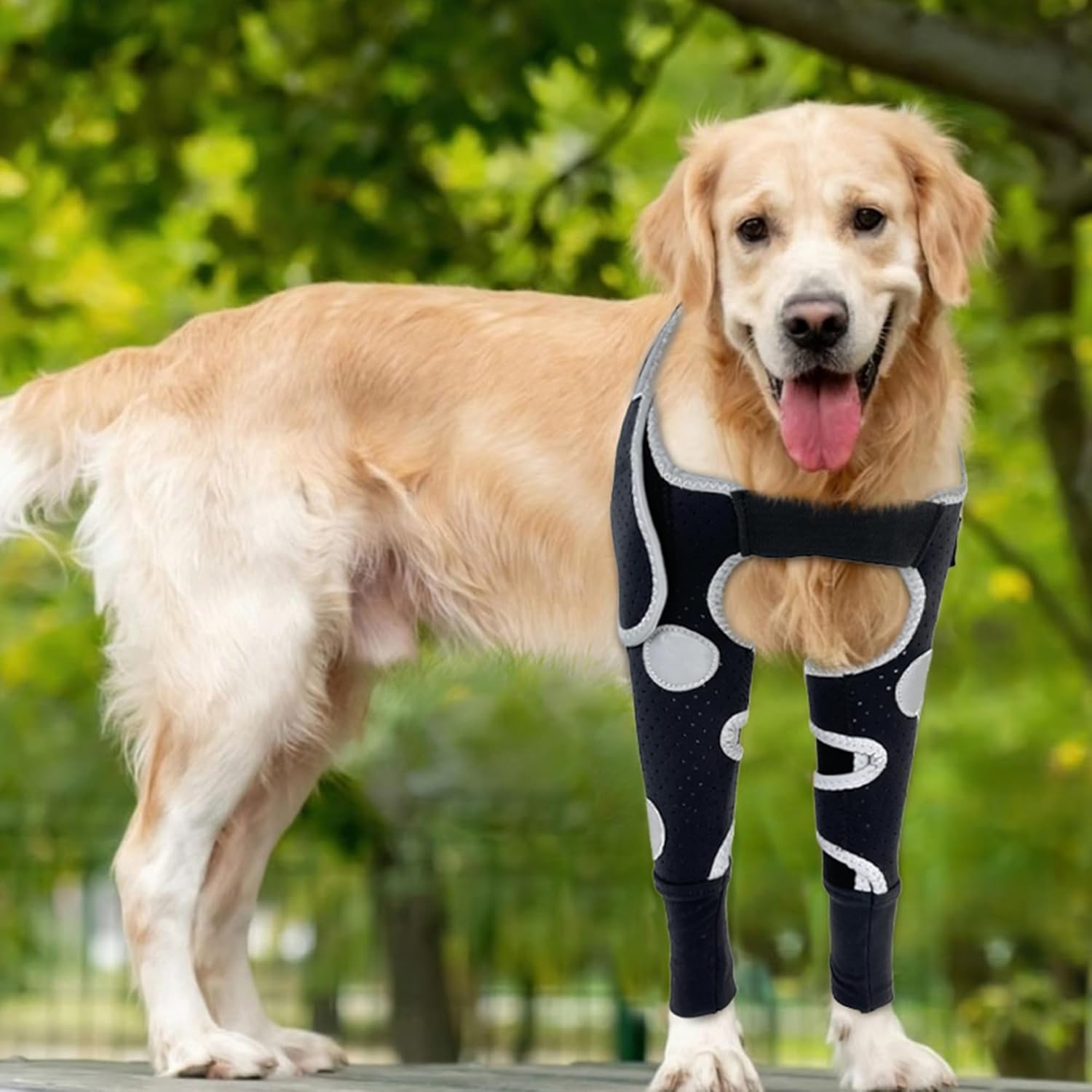 Dog Elbow & Dog Shoulder Brace to Stop Licking