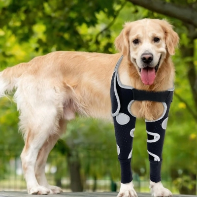 Dog Elbow & Dog Shoulder Brace to Stop Licking 01
