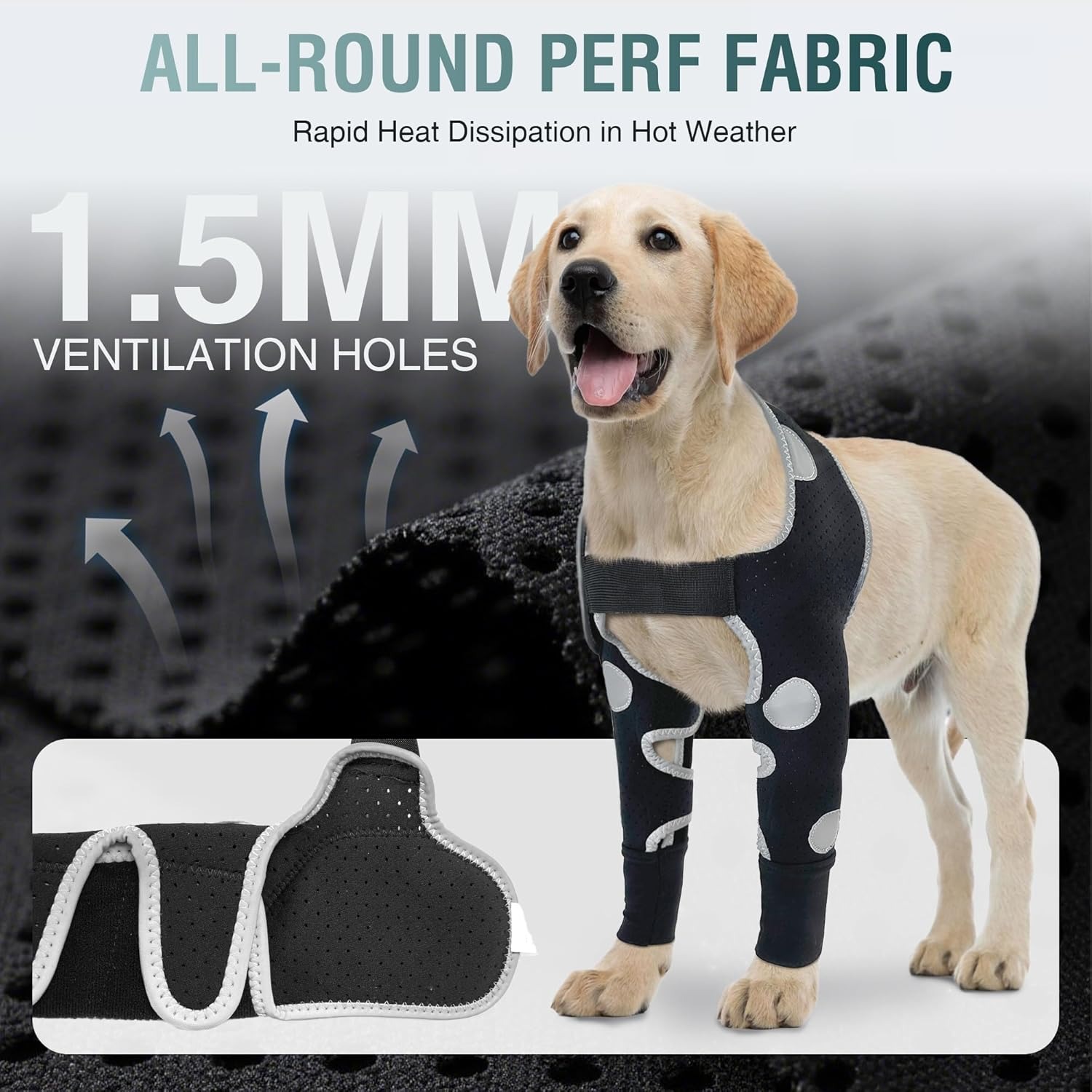 Dog Elbow & Dog Shoulder Brace to Stop Licking