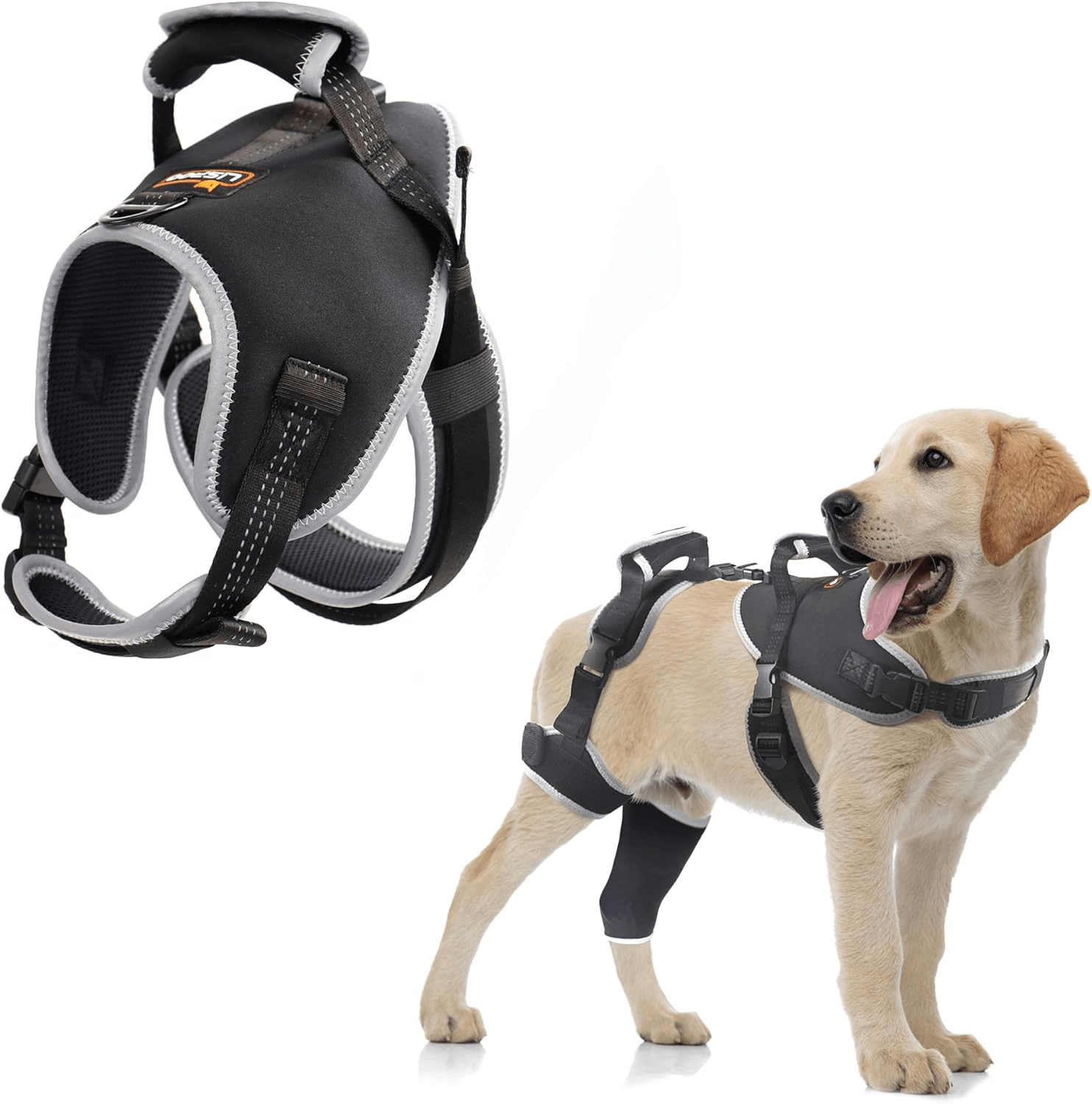 Lispoo Adjustable Dog Rear Leg Brace
